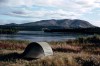 Thumbs/tn_097Big Salmon.jpg